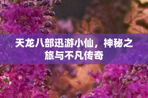 天龙八部迅游小仙，神秘之旅与不凡传奇