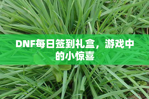 DNF每日签到礼盒，游戏中的小惊喜