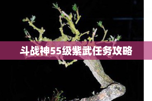 斗战神55级紫武任务攻略
