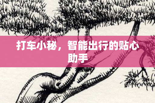 打车小秘，智能出行的贴心助手