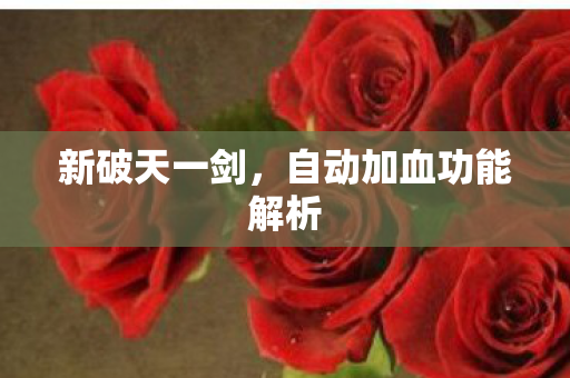 新破天一剑，自动加血功能解析