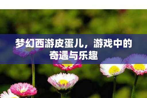 梦幻西游皮蛋儿，游戏中的奇遇与乐趣