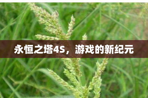 永恒之塔4S，游戏的新纪元