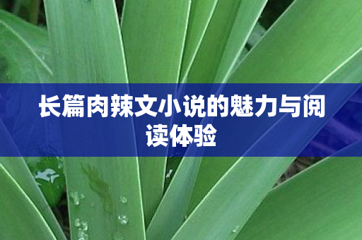长篇肉辣文小说的魅力与阅读体验