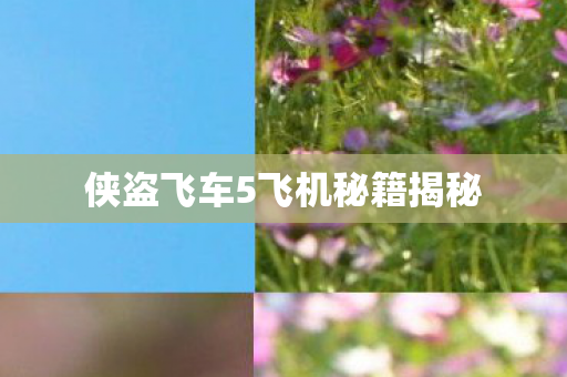 侠盗飞车5飞机秘籍揭秘