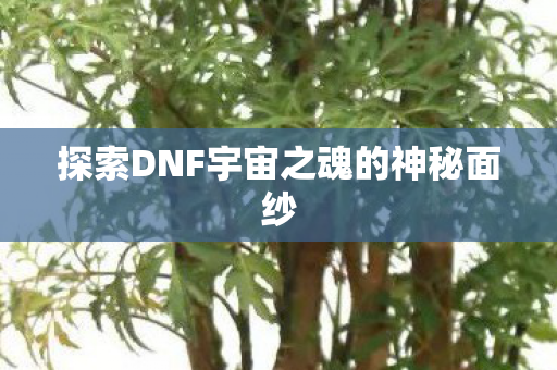 探索DNF宇宙之魂的神秘面纱