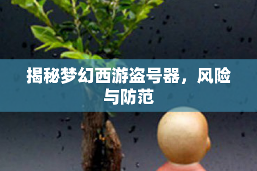 揭秘梦幻西游盗号器，风险与防范