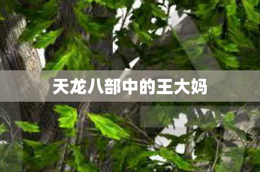 天龙八部中的王大妈