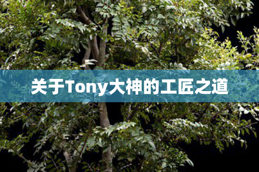 关于Tony大神的工匠之道