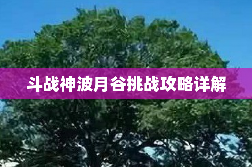 斗战神波月谷挑战攻略详解