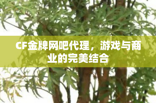 CF金牌网吧代理，游戏与商业的完美结合