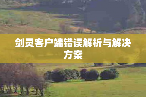 剑灵客户端错误解析与解决方案