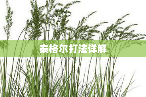 泰格尔打法详解