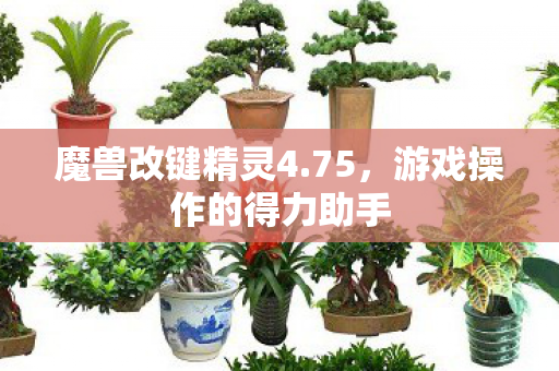 魔兽改键精灵4.75，游戏操作的得力助手