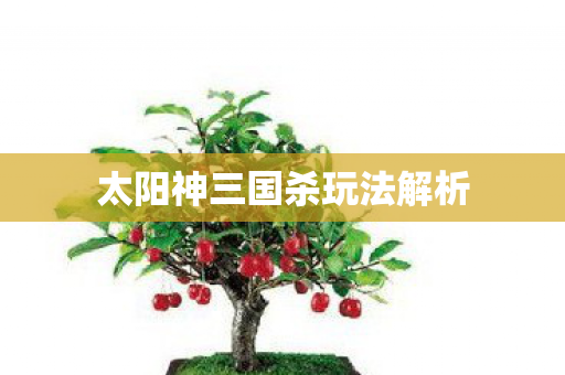 太阳神三国杀玩法解析