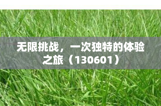 无限挑战，一次独特的体验之旅（130601）