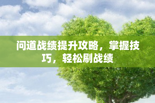 问道战绩提升攻略，掌握技巧，轻松刷战绩
