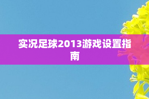 实况足球2013游戏设置指南