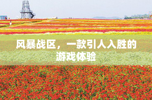 风暴战区，一款引人入胜的游戏体验