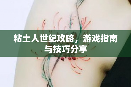 粘土人世纪攻略，游戏指南与技巧分享