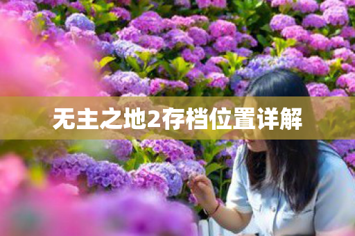 无主之地2存档位置详解