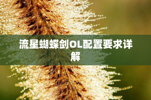 流星蝴蝶剑OL配置要求详解 流星蝴蝶剑OL配置要求详解