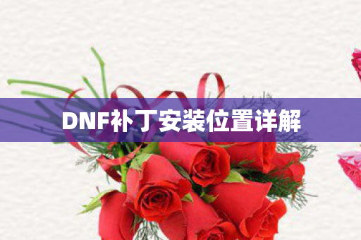 DNF补丁安装位置详解 DNF补丁安装位置详解
