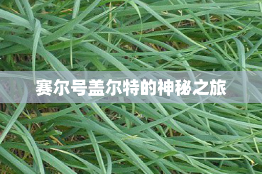 赛尔号盖尔特的神秘之旅 赛尔号盖尔特的神秘之旅