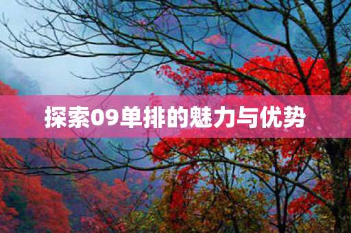 探索09单排的魅力与优势
