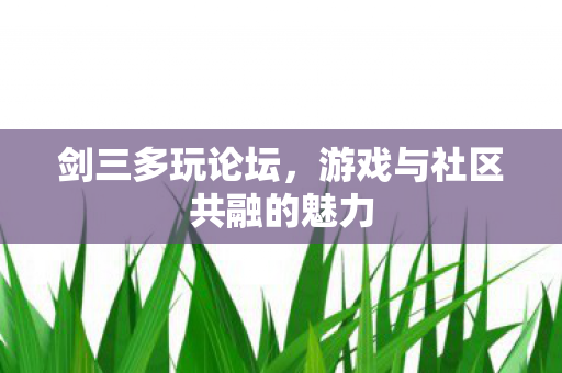剑三多玩论坛，游戏与社区共融的魅力