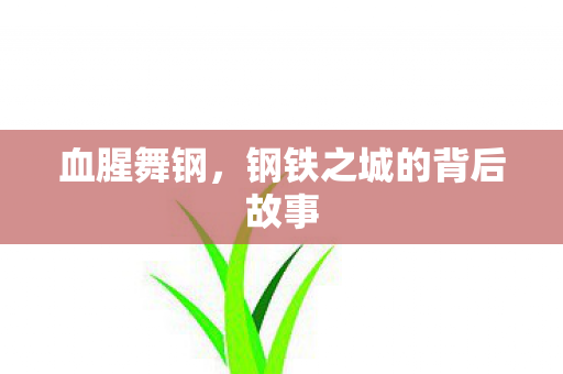 血腥舞钢，钢铁之城的背后故事