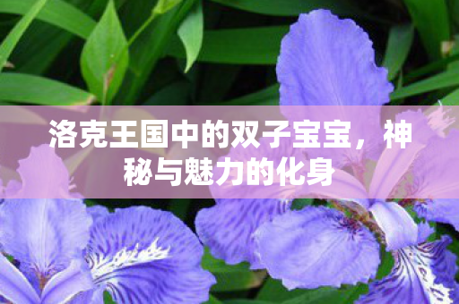洛克王国中的双子宝宝，神秘与魅力的化身