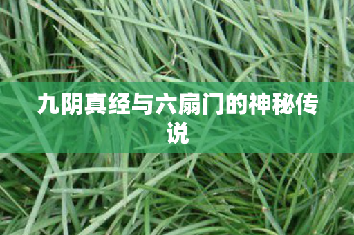 九阴真经与六扇门的神秘传说