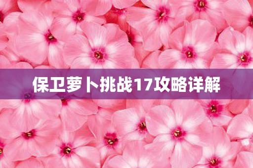 保卫萝卜挑战17攻略详解 保卫萝卜挑战17攻略详解