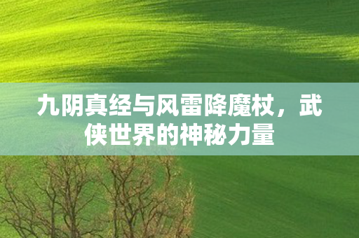 九阴真经与风雷降魔杖，武侠世界的神秘力量