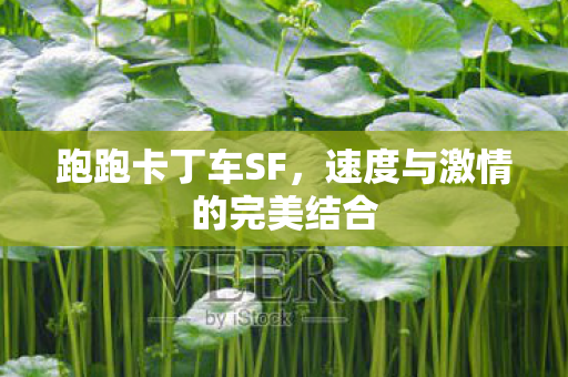 跑跑卡丁车SF,速度与激情的完美结合 跑跑卡丁车SF,速度与激情的完美结合