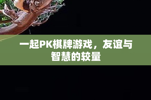 一起PK棋牌游戏，友谊与智慧的较量