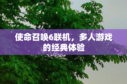 使命召唤6联机，多人游戏的经典体验