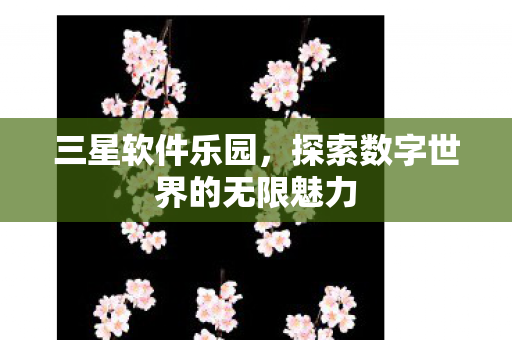 三星软件乐园，探索数字世界的无限魅力