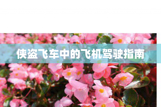 侠盗飞车中的飞机驾驶指南 侠盗飞车中的飞机驾驶指南