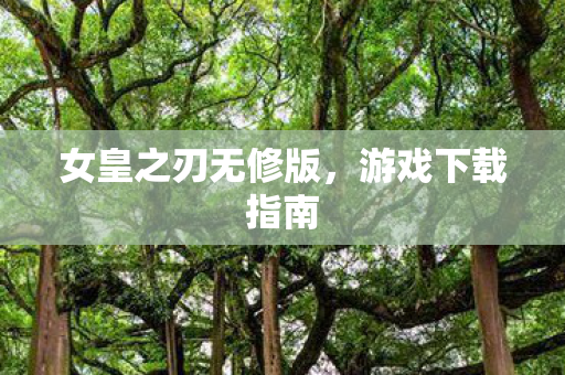 女皇之刃无修版，游戏下载指南