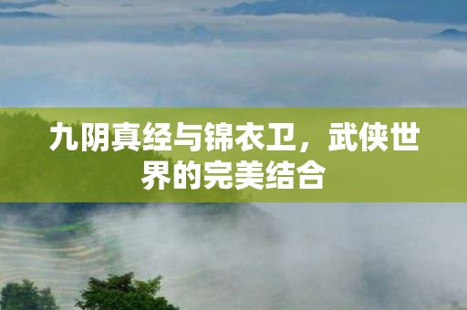 九阴真经与锦衣卫，武侠世界的完美结合
