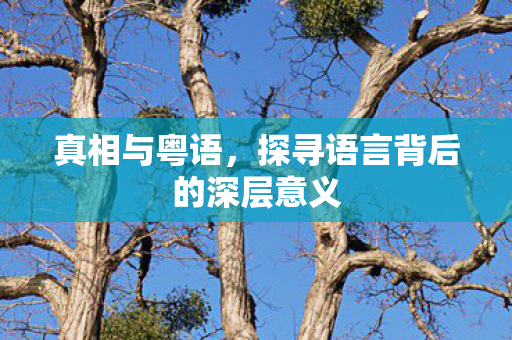 真相与粤语，探寻语言背后的深层意义