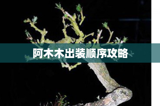 阿木木出装顺序攻略