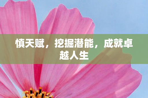 慎天赋，挖掘潜能，成就卓越人生