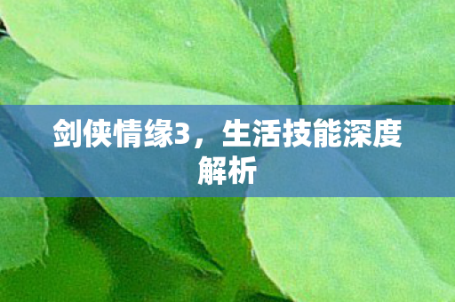 剑侠情缘3,生活技能深度解析 剑侠情缘3,生活技能深度解析