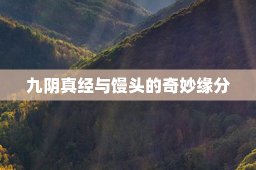 九阴真经与馒头的奇妙缘分