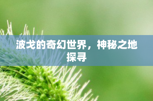 波戈的奇幻世界，神秘之地探寻