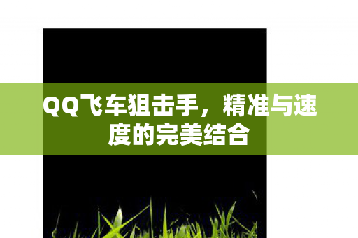 QQ飞车狙击手，精准与速度的完美结合