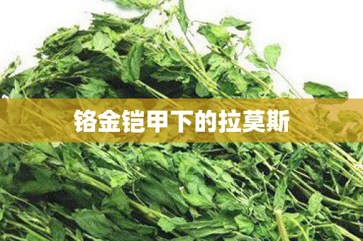 铬金铠甲下的拉莫斯